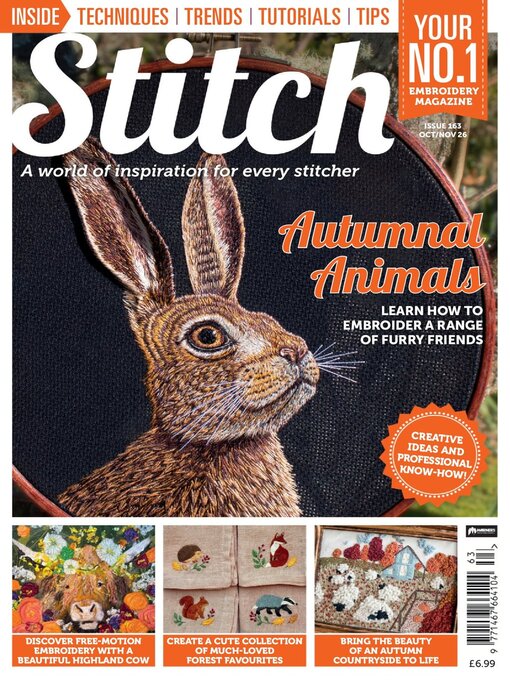 Cover image for Stitch